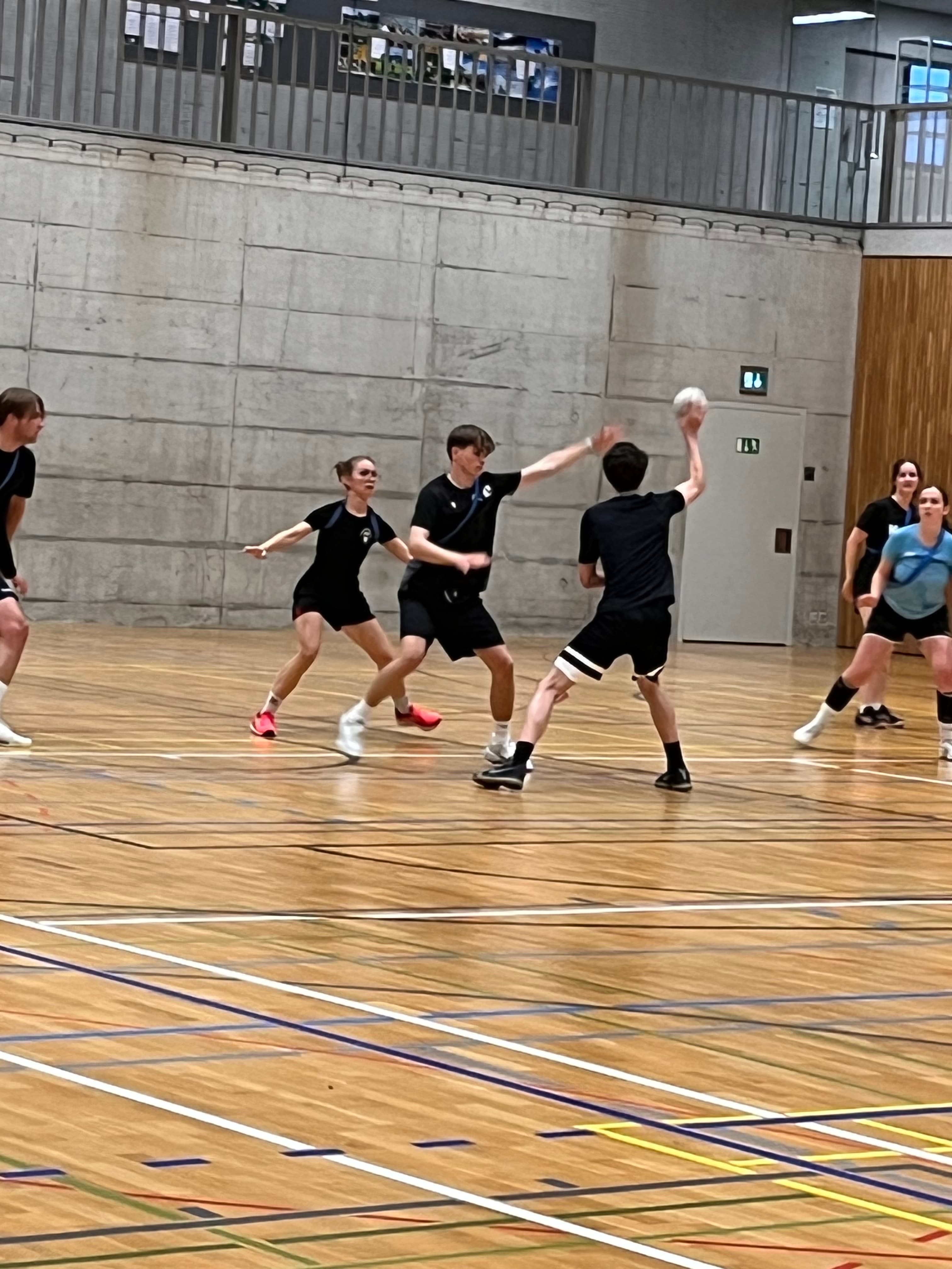 Handballspielgemeinschaft St. Gallen