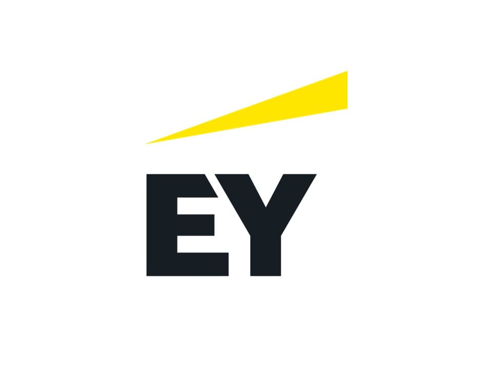 EY & EY-Parthenon Consulting Case Study Workshop